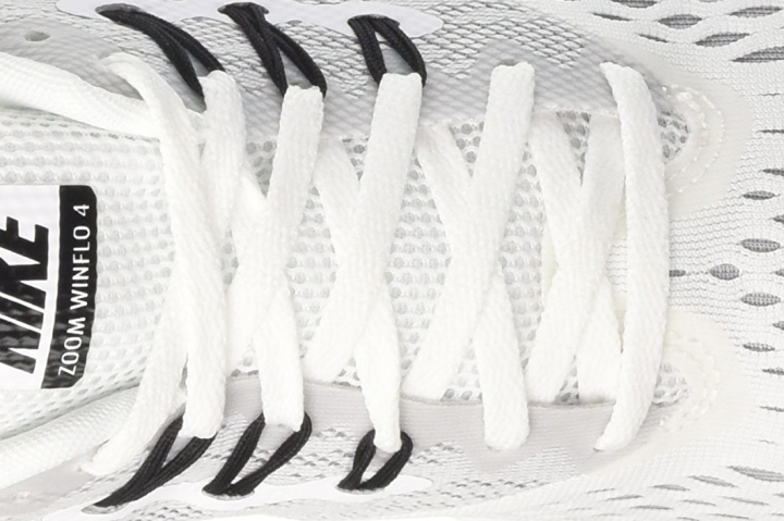 zoom winflo 4 review